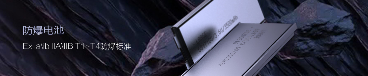 防爆電芯（可定制）